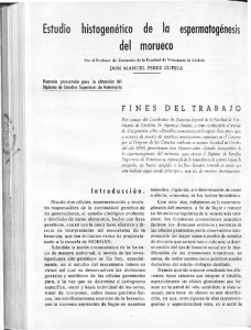 zootecnia11_12.perez.pdf