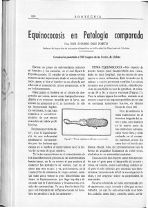 zootecnia9_10.ruiz.pdf