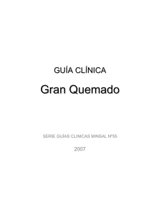 Ir a Guía Clínica: Gran Quemado