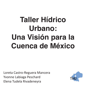 Taller Hídrico Urbano: Una visión para la Cuenca de México (PDF, 13 MB)