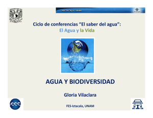 Agua y biodiversidad (PDF, 1.7 Mb)
