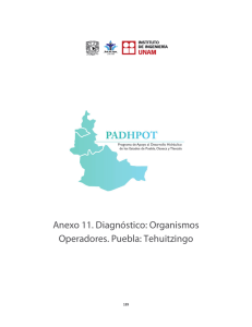 Anexo 11. Diagn&oacute;stico: Organismos Operadores. Puebla: Tehuitzingo  189