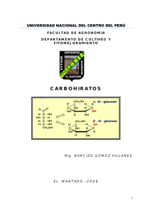 carbohidratos 1