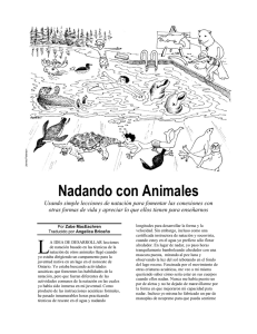 Nadando con Animales