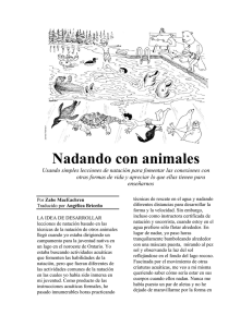 Nadando con animales