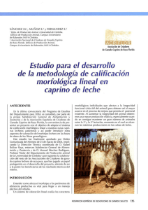 feagas26-2004.2-5.pdf