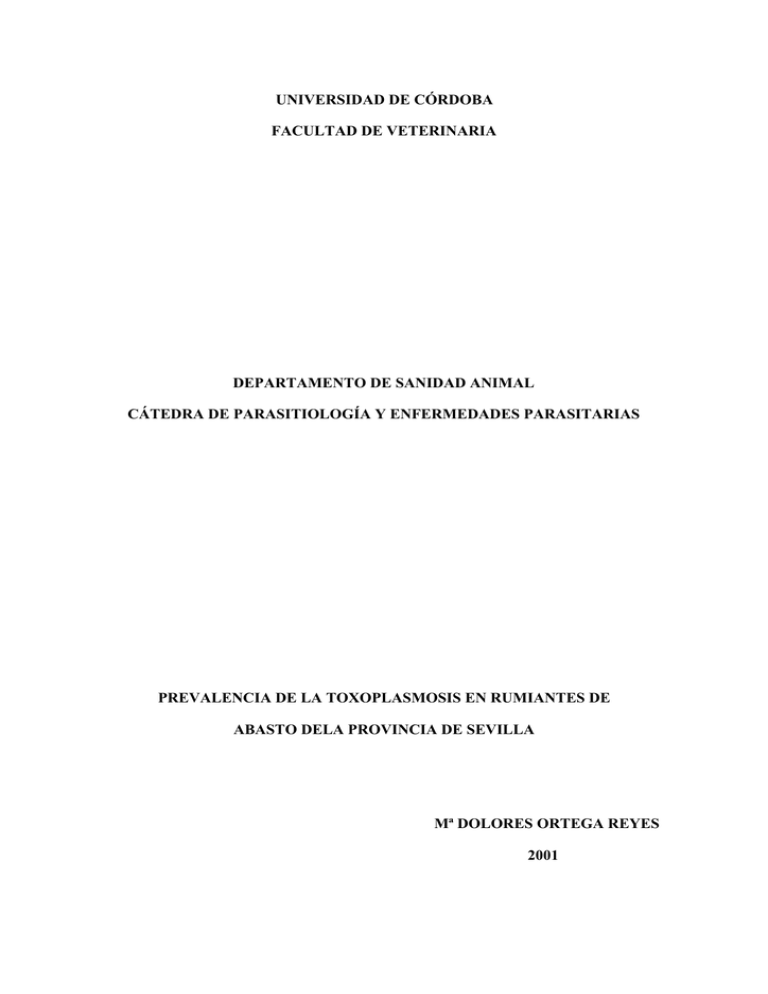 13079177 pdf