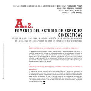 consejosocialuco_sanchez.pdf
