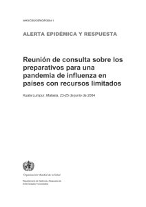 Reunión de consulta sobre los preparativos para una pandemia de influenza en