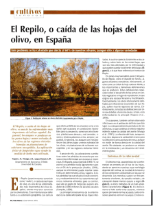 Trapero_Casas_26.pdf