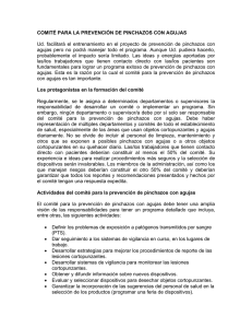 Antecedentes informativos del comité para la prevención de pinchazos por aguja pdf, 57kb