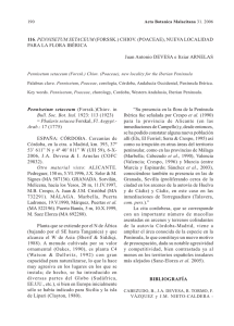 Pennisetum_setaceum_nueva_localidad_flora_iberica.pdf