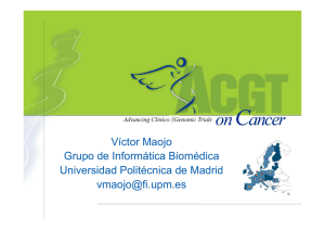D. Víctor Maojo Grupo de Informática Biomédica Universidad Politécnica de Madrid