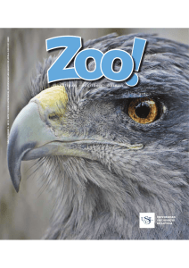 2013_Zoo 3_Presentación.pdf
