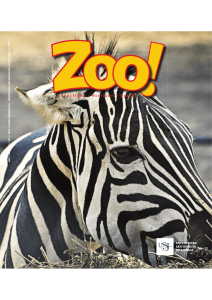 2012_Zoo 2_Presentación.pdf