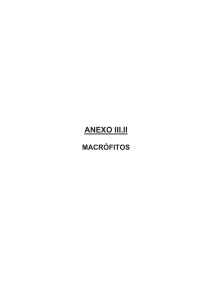 ANEXO III.II MACRÓFITOS