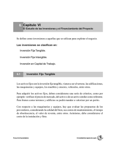 2008_USIL_Capítulo 6_El estudio de las inversiones y el financiamiento del proyecto.pdf
