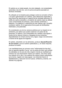 cadmio.pdf
