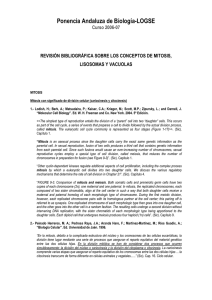 Revision bibliografica[1]. Mitosis, lisosomas y vacuolas.pdf