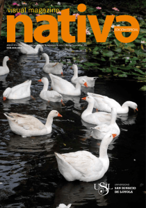 2013_Nativa-Visual-Magazine-8.pdf