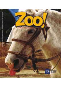 2013_Zoo 5_Presentación.pdf