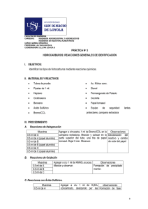 2013_Loayza_Química orgánica- Práctica 3- Hidrocarburos- Reacciones generales de identificación.pdf