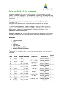 Fermentación de las levaduras.pdf