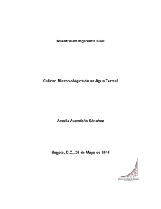 CF-Maestria en Ingeniería Civil-1018444865.pdf