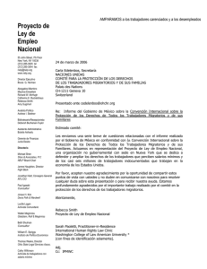 México - Informe Alternativo Sociedad Civil (NELP 2006)