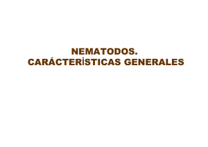 nematodos.pdf