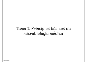 microbiologia médica.pdf