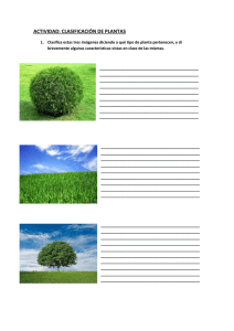 ACTIVIDAD plantas.pdf