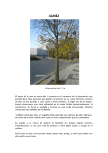 ALMEZ_REGISTRO.pdf