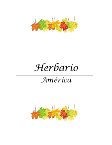 Herbario América