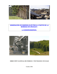 Descargar informe Generación de energía a partir de biomasa
