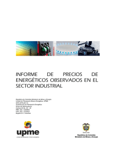 Informe de Precios de EnergÃ©ticos Observados en el Sector Industrial