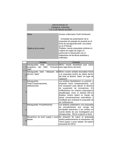 Informe Ronda VII Cartagena, Colombia 7 al 12 de Febrero de 2005 Mesa: