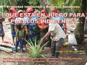 wipo grtkf ic 26 indigenous panel marcial arias