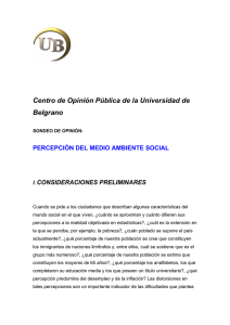 Centro de Opinión Pública de la Universidad de Belgrano CONSIDERACIONES PRELIMINARES