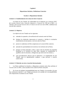 Capítulo 1 Disposiciones Iniciales y Definiciones Generales Sección A: Disposiciones Iniciales