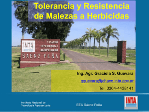 Tolerancia y Resistencia de Malezas a Herbicidas Ing. Agr. Graciela S. Guevara