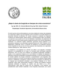 ¿Bajar la dosis de fungicida en tiempos de crisis económica?