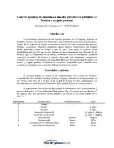 Control quimico de gramineas anuales estivales en pasturas de festuca y raigras perenne.pdf