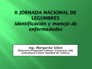 Sanidad Arveja y Garbanzo M Sillon.pdf