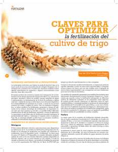 Fertilizacion de trigo.pdf