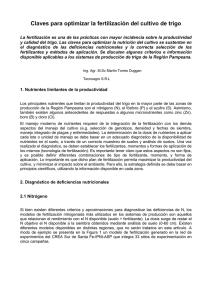 Fertilizacion de trigoTorres Duggan FINAL.pdf