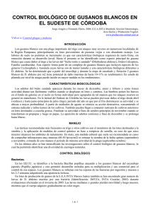 77-control_biologico_gusanos_blancos.pdf