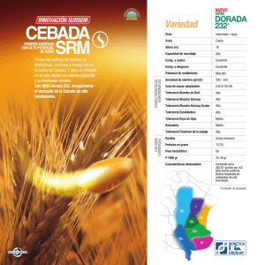 CEBADA.2013.pdf