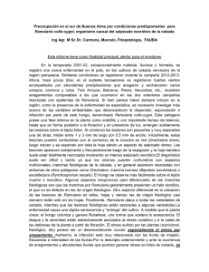 Preocupación en el sur de Buenos Aires por condiciones predisponentes ... Ing Agr. M Sc Dr. Carmona, Marcelo, Fitopatología,  FAUBA
