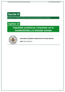 Sección IV Capítulo 19 Impulsores económicos: Conexiones con la